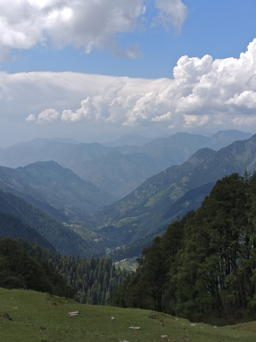 Forested Himalayan ridges of the Great Himalayan National Park near Tirthan Valley