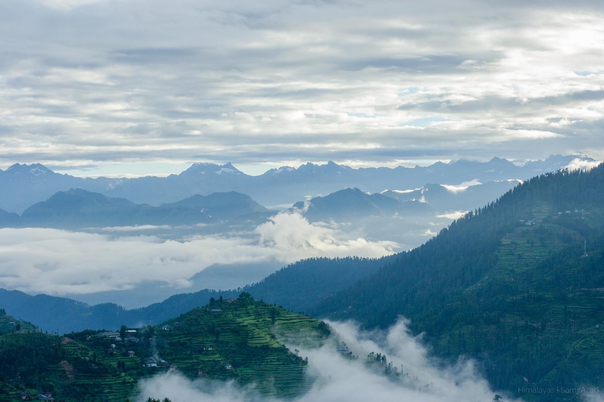 Forested Himalayan slopes inside Great Himalayan National Park, Kullu
