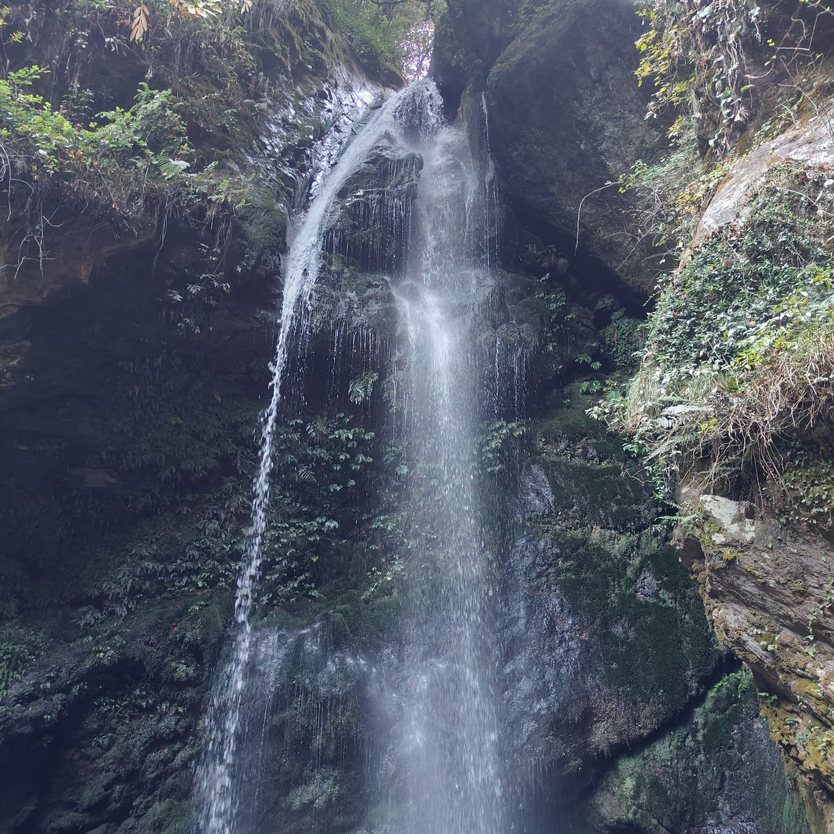 Jibhi waterfall falling over a mossy rock face
