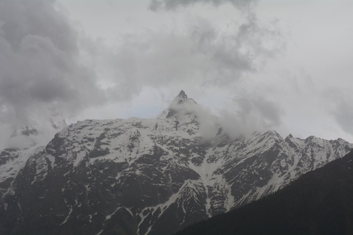 Snow-streaked Kinner Kailash peak rising out of cloud above a dark forested ridge, seen from Kalpa in Kinnaur