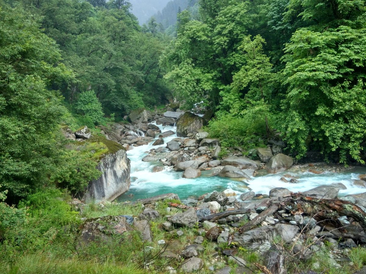 The Sainj river running clear and blue-green over grey boulders between thick green forest in the Sainj valley