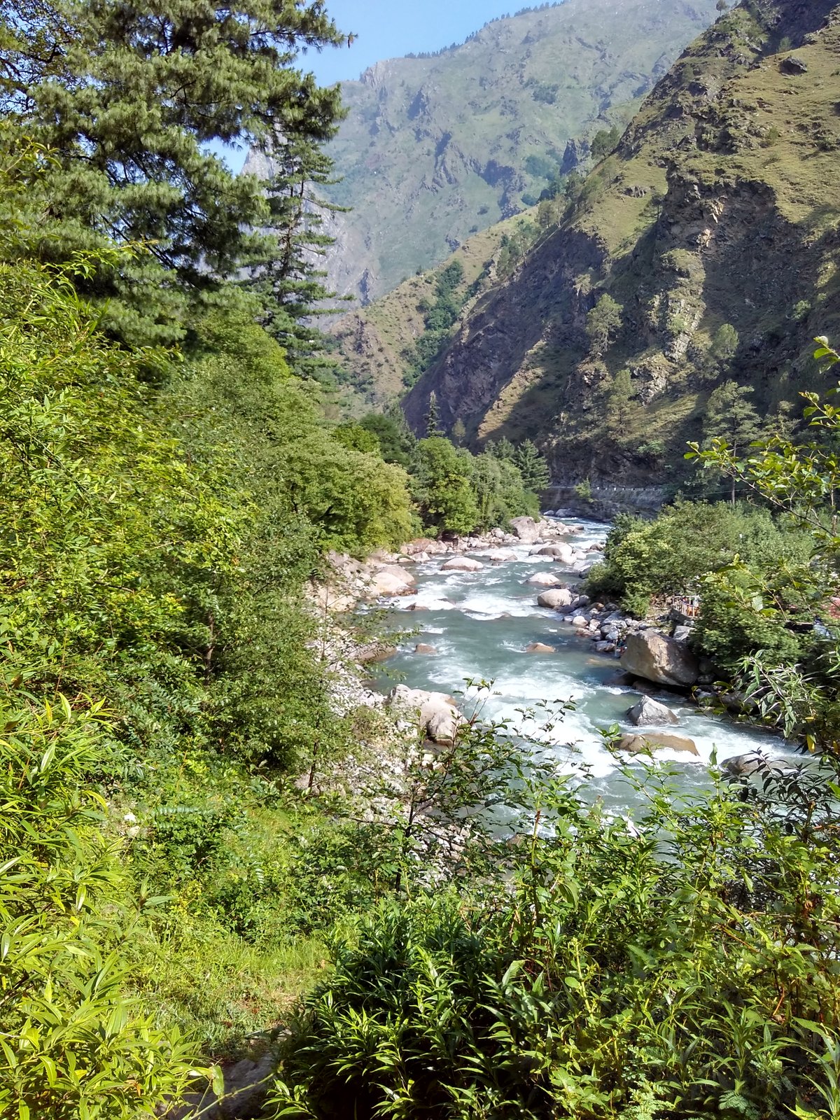 Looking along the Tirthan river between forested banks