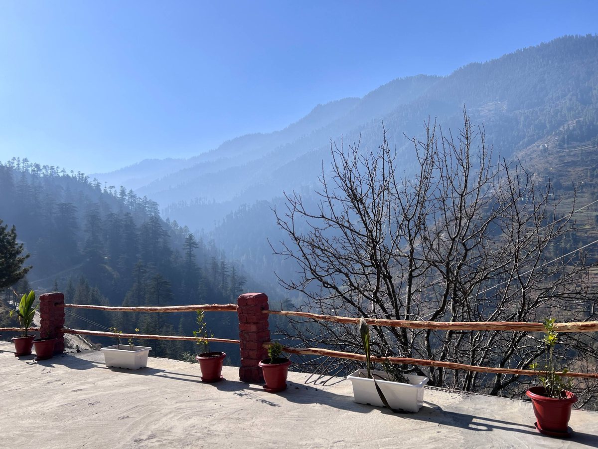 Forested valley and hills under a clear blue sky, seen from the terrace at Peaks N Valley Stays near Jibhi